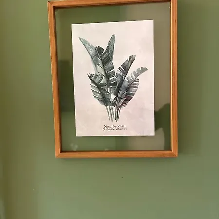 Amazonite, Proche Centre De Stationnement à Proximité Appartement